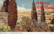Jerusalem : The Garden of Gethsemane